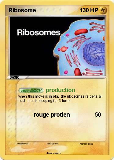 Pokemon Ribosome