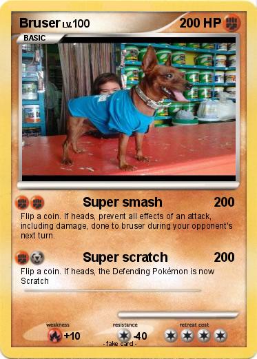 Pokemon Bruser