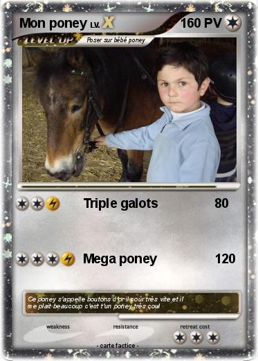 Pokemon Mon poney