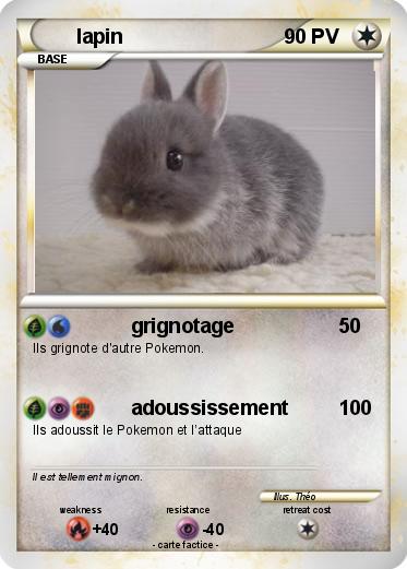 Pokemon lapin