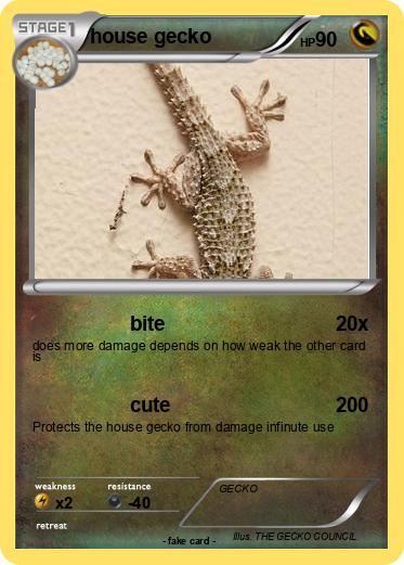 Pokemon house gecko