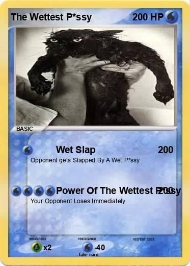 Pokemon The Wettest P*ssy