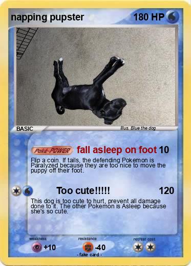 Pokemon napping pupster