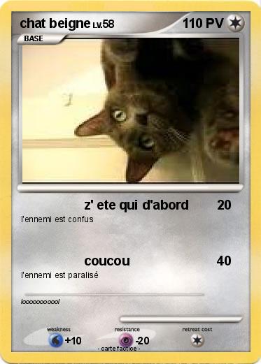 Pokemon chat beigne
