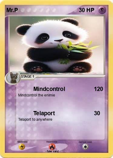Pokemon Mr.P