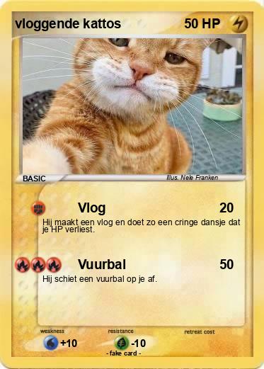 Pokemon vloggende kattos