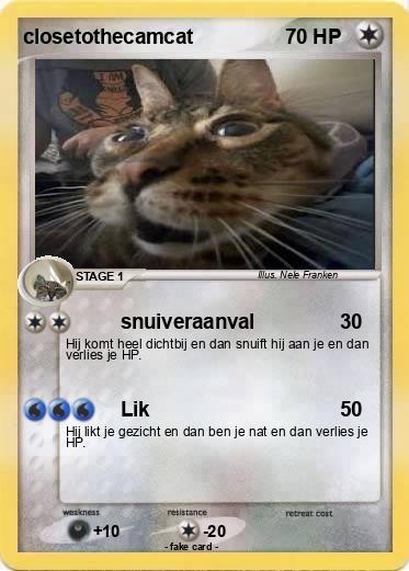 Pokemon closetothecamcat