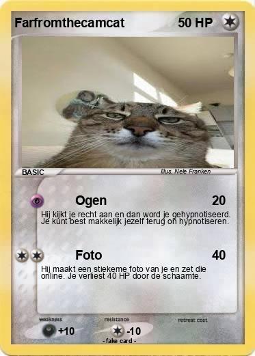 Pokemon Farfromthecamcat