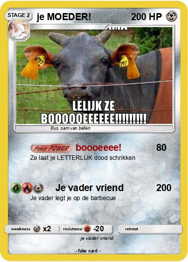 Pokemon je MOEDER!