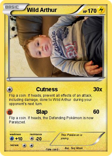Pokemon Wild Arthur