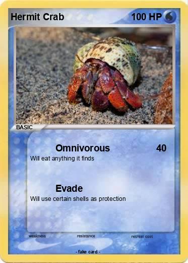 Pokemon Hermit Crab