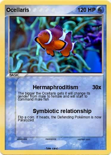 Pokemon Ocellaris