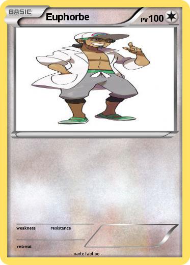 Pokemon Euphorbe