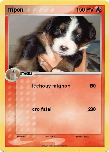 Pokemon fripon                             