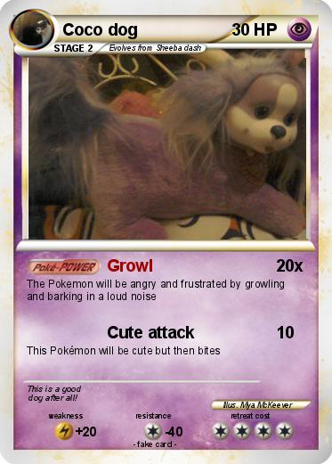 Pokemon Coco dog