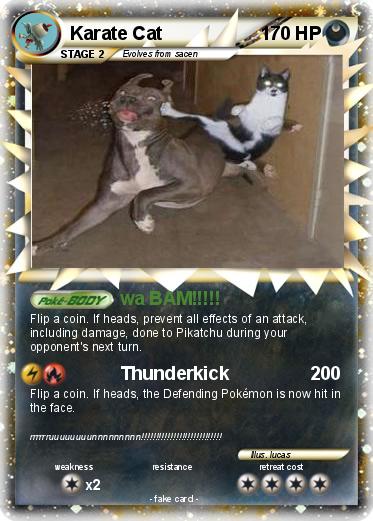 Pokemon Karate Cat