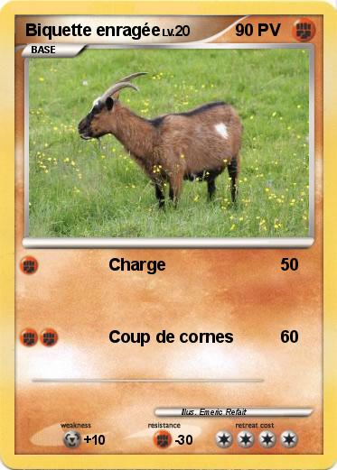 Pokemon Biquette enragée