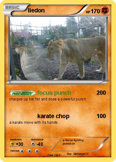 Pokemon liedon