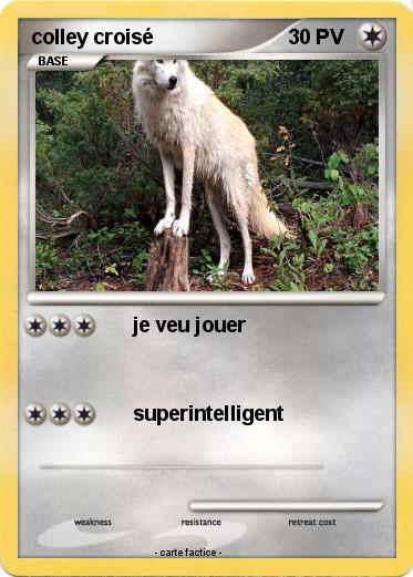 Pokemon colley croisé