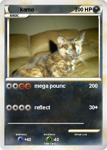 Pokemon kamo