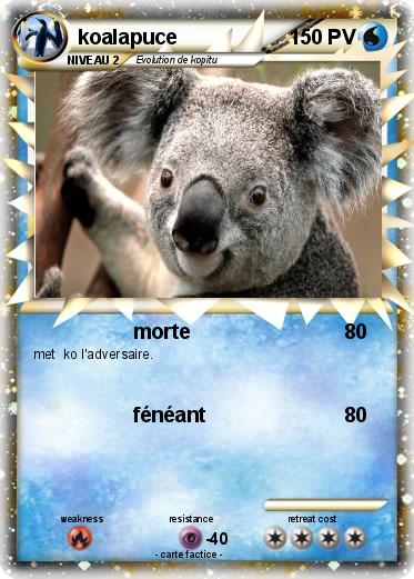 Pokemon koalapuce