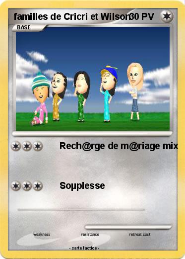Pokemon familles de Cricri et Wilson