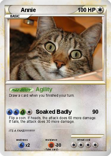 Pokemon Annie