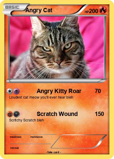 Pokemon Angry Cat