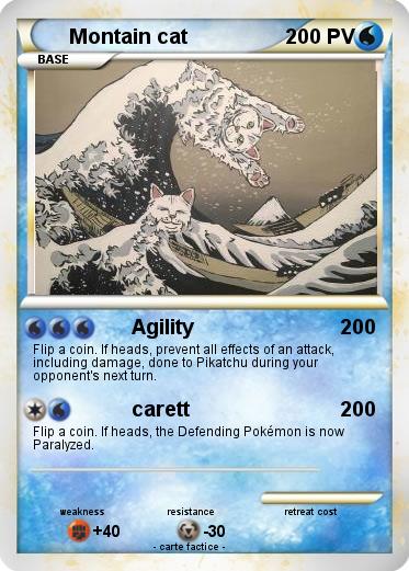 Pokemon Montain cat