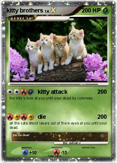 Pokemon kitty brothers