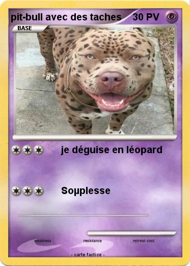 Pokemon pit-bull avec des taches