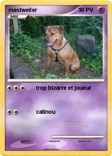 Pokemon mastweiler