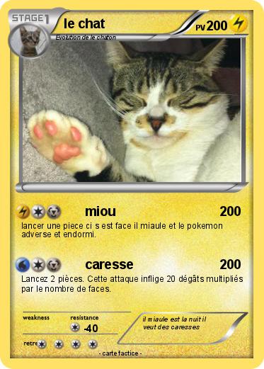 Pokemon le chat