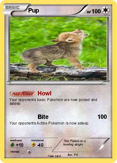 Pokemon Pup
