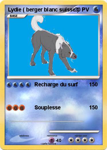 Pokemon Lydie ( berger blanc suisse )