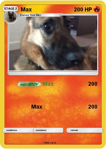 Pokemon Max