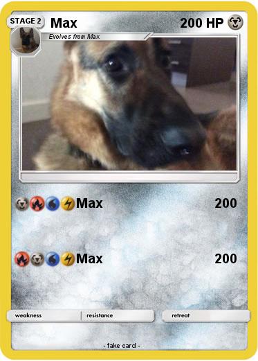 Pokemon Max