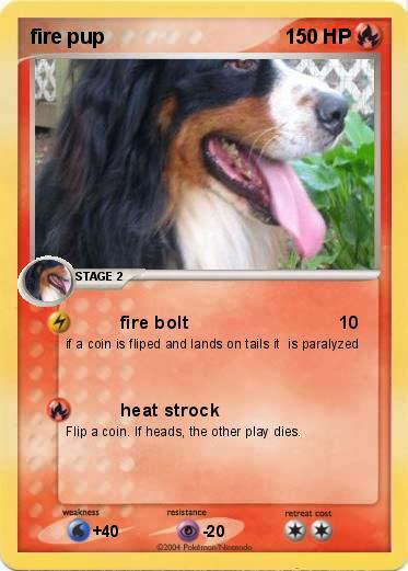 Pokemon fire pup