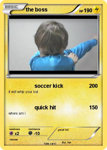 Pokemon the boss