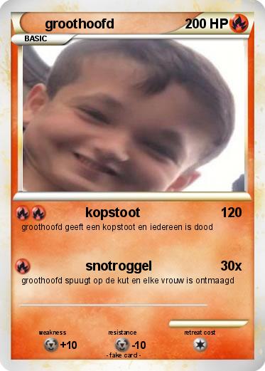 Pokemon groothoofd