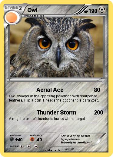 Pokemon Owl