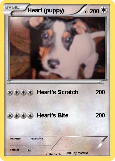 Pokemon Heart (puppy)