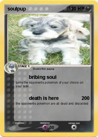 Pokemon soulpup