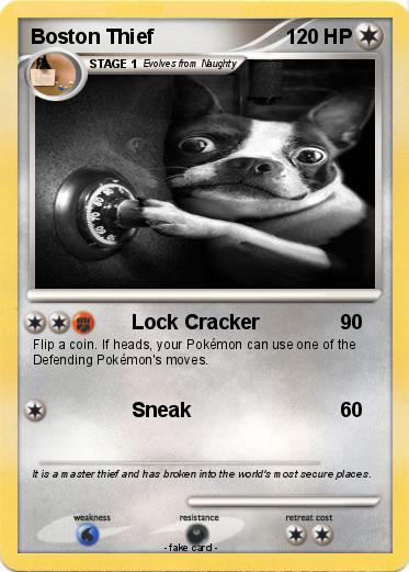 Pokemon Boston Thief
