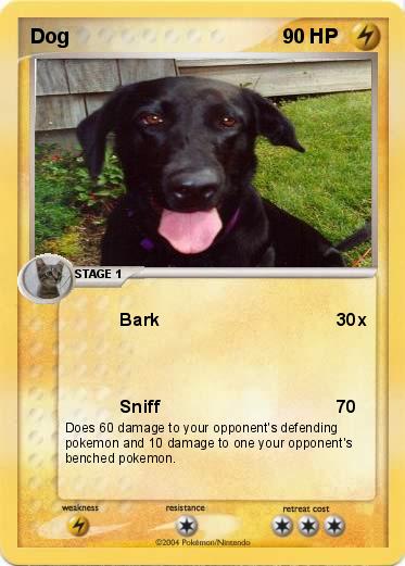Pokemon Dog