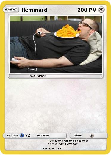 Pokemon flemmard