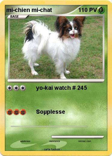 Pokemon mi-chien mi-chat