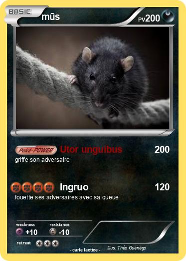 Pokemon mūs
