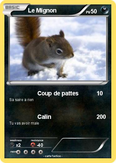 Pokemon Le Mignon