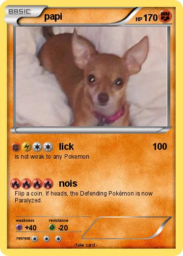 Pokemon papi